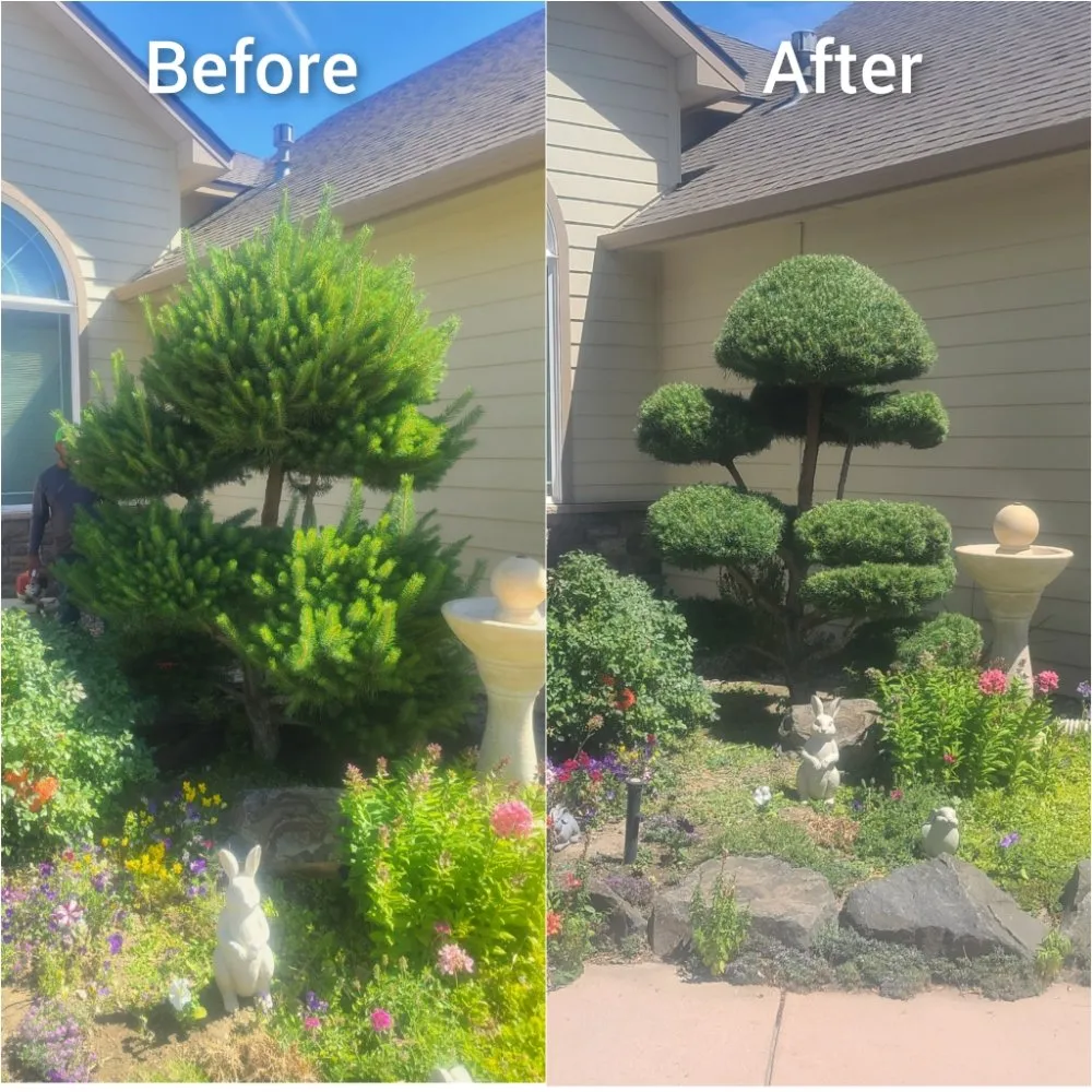 Reliable lawn care service in Pasco, WA by The Yard Boss Lawncare