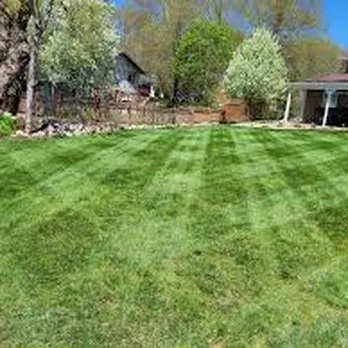 The Yard Brothers Logo