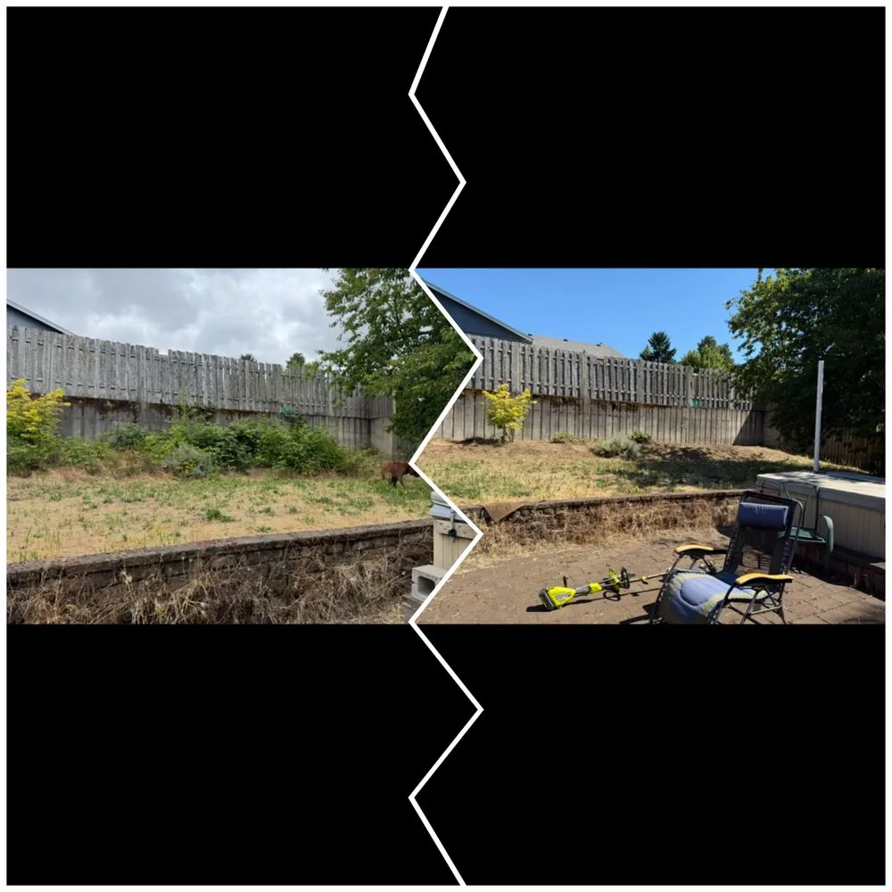 Affordable yard maintenance in Silverton, OR - The Yard Bullet