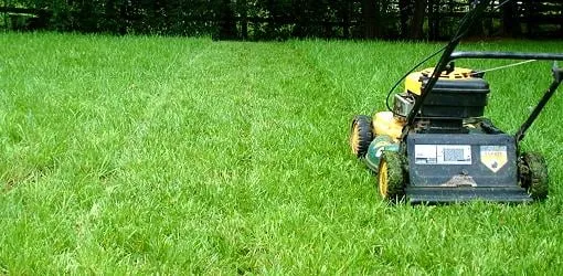 Reliable lawn mowing service for residential properties across Ashland, VA - The Yard Butler