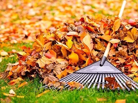 Local lawn mowing service in Idaho Falls, ID by The Yard Butler