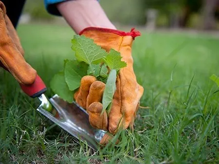Affordable residential landscaping experts serving Idaho Falls, ID - The Yard Butler