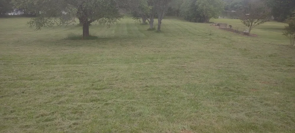 Top-rated landscaping services in Riverside, AL - The Yard Butler