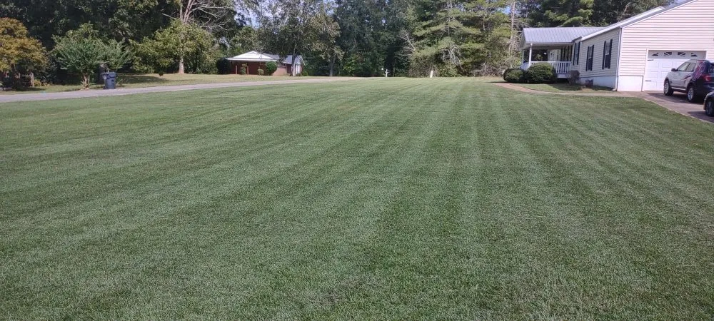 Affordable lawn mowing service for beautiful yards in Riverside, AL by The Yard Butler
