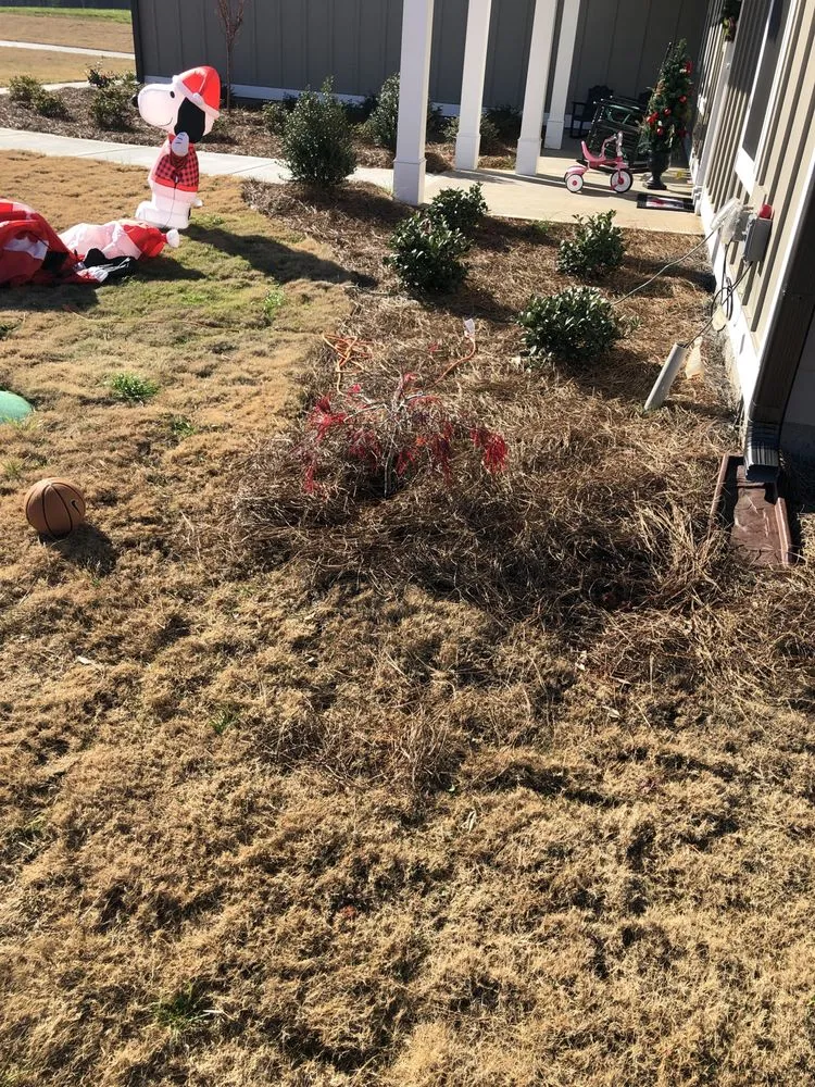 Top-rated landscaping services for beautiful yards in Senoia, GA by The Yard Butler