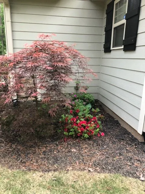 Professional landscape installation in Senoia, GA - The Yard Butler