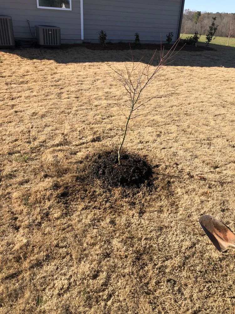 Expert landscaping services for homes across Senoia, GA - The Yard Butler