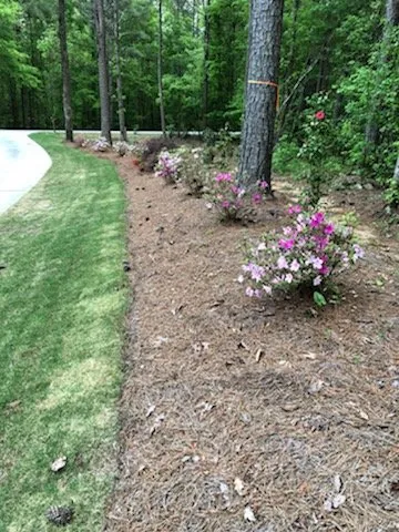 Expert outdoor landscaping with custom design in Senoia, GA by The Yard Butler