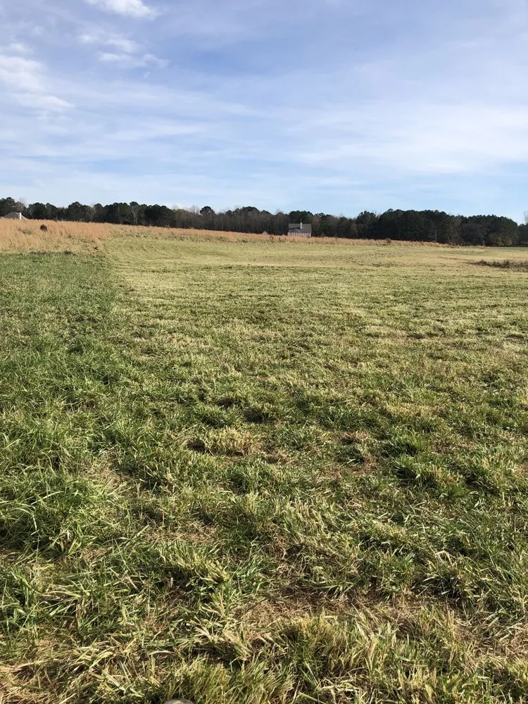 Reliable lawn mowing service for homes across Senoia, GA - The Yard Butler