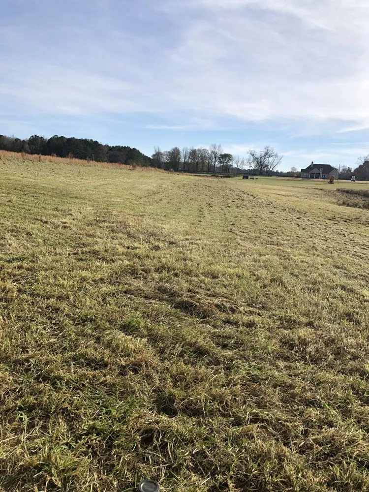 Reliable garden landscaping for homes in Senoia, GA by The Yard Butler