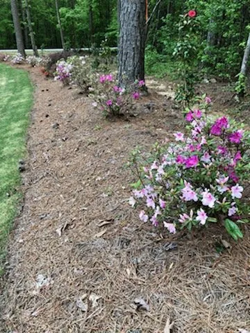 Trusted landscape design in Senoia, GA by The Yard Butler