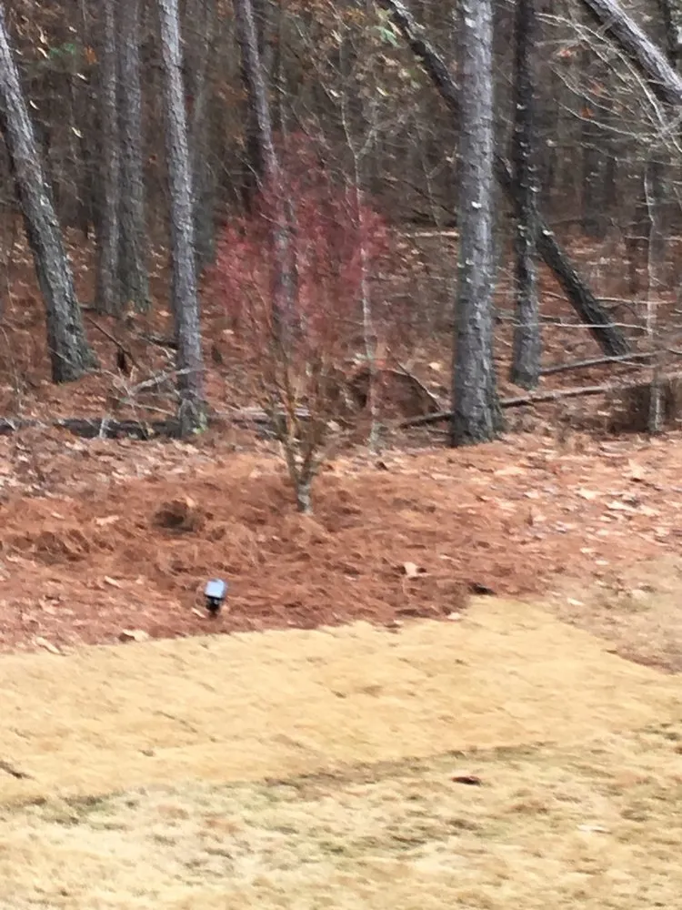 Reliable outdoor landscaping for outdoor upgrades in Senoia, GA by The Yard Butler