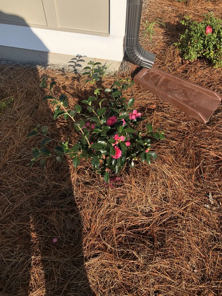 Trusted landscape installation for beautiful yards in Senoia, GA by The Yard Butler