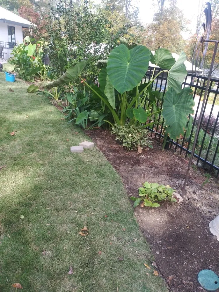 Professional garden landscaping with custom design in Montevallo, AL by The Yard Butlers