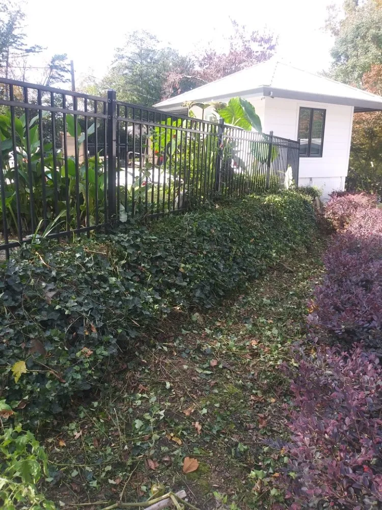 Affordable residential landscaping experts serving Montevallo, AL - The Yard Butlers