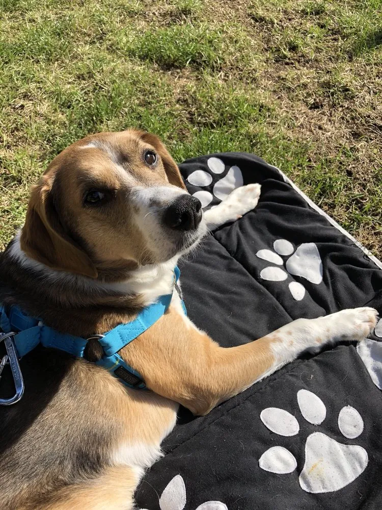 Reliable garden landscaping in Shoreline, WA - The Yard Butlers