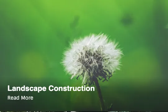 Reliable lawn care service with custom design across Shoreline, WA - The Yard Butlers