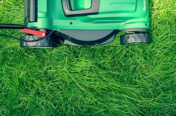 Trusted lawn mowing service for year-round maintenance in Shoreline, WA by The Yard Butlers