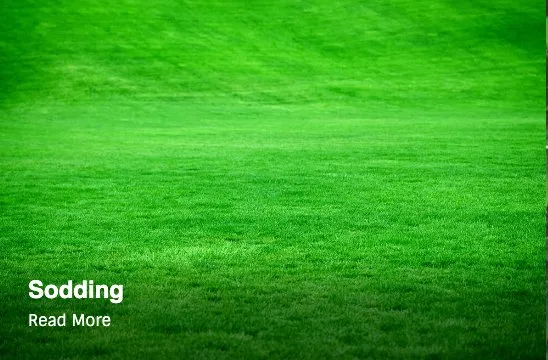 Custom lawn mowing service in Shoreline, WA - The Yard Butlers