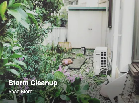 Top-rated yard maintenance for beautiful yards in Shoreline, WA by The Yard Butlers