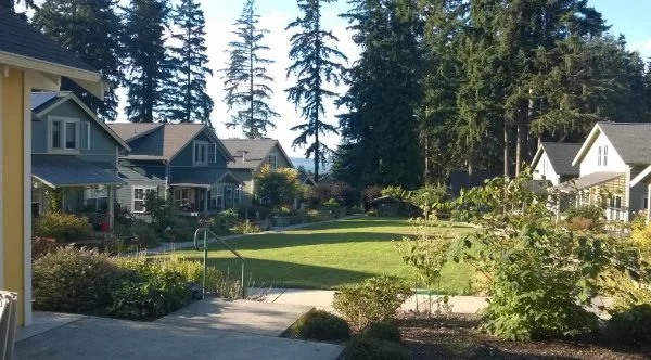 Professional residential landscaping for homes across Shoreline, WA - The Yard Butlers