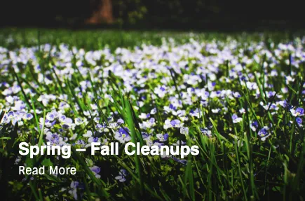 Reliable lawn care service for beautiful yards in Shoreline, WA by The Yard Butlers