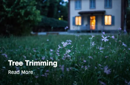 Affordable landscaping services in Shoreline, WA by The Yard Butlers