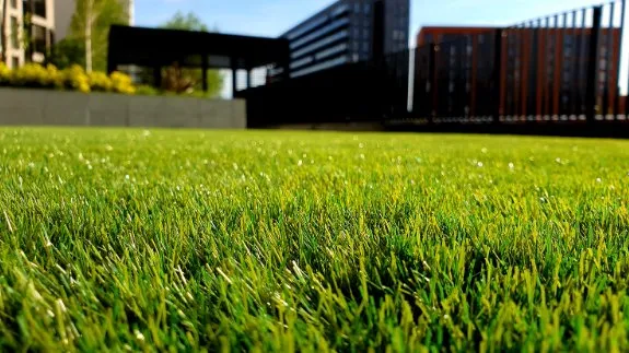 Trusted landscaping services in Shoreline, WA by The Yard Butlers