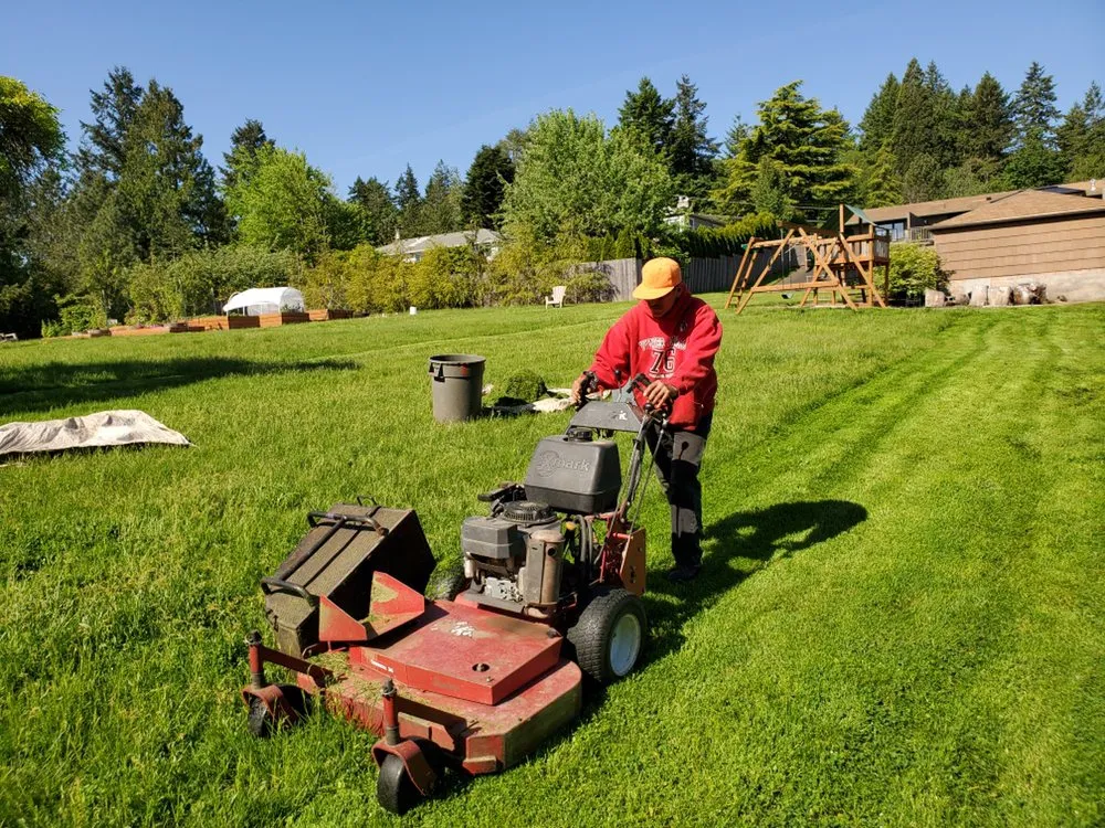 Affordable yard cleanup service in Oregon City, OR by The YARD by Paradise Restored