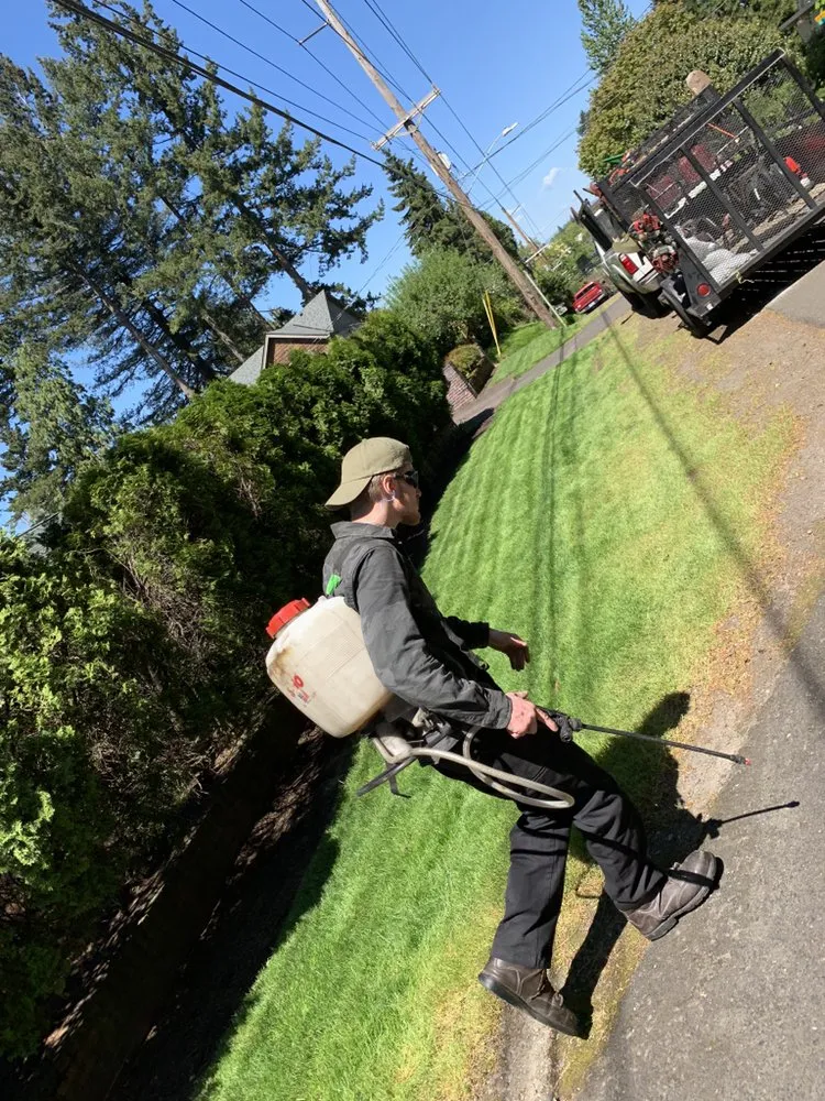 Top-rated outdoor landscaping for homes across Oregon City, OR - The YARD by Paradise Restored