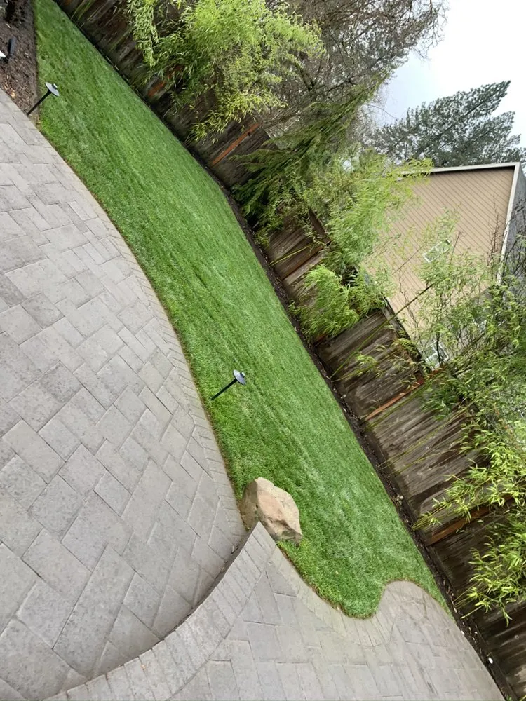 Custom yard cleanup service in Oregon City, OR by The YARD by Paradise Restored