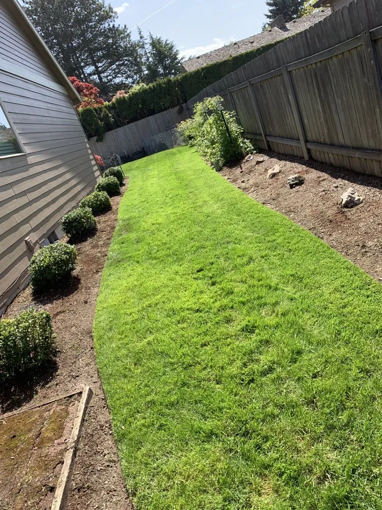 Top-rated yard cleanup service near you across Oregon City, OR - The YARD by Paradise Restored