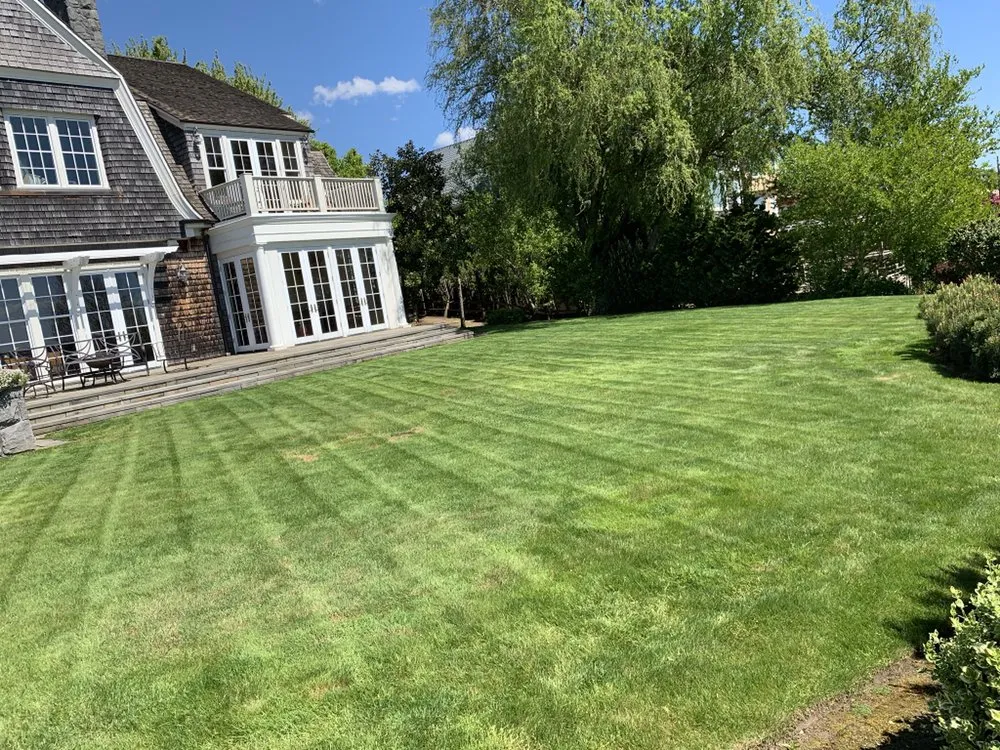 Trusted yard cleanup service in Oregon City, OR - The YARD by Paradise Restored