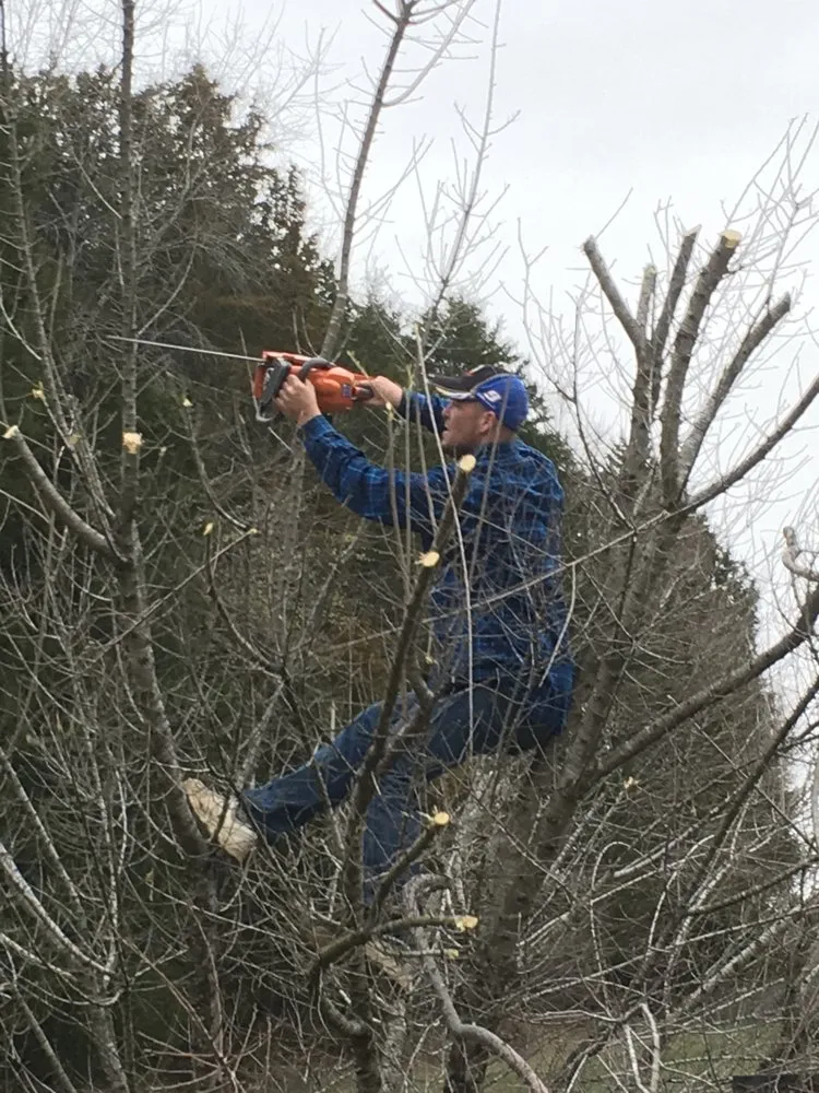 Top-rated garden landscaping experts serving Dickson, TN - The Yard Chick