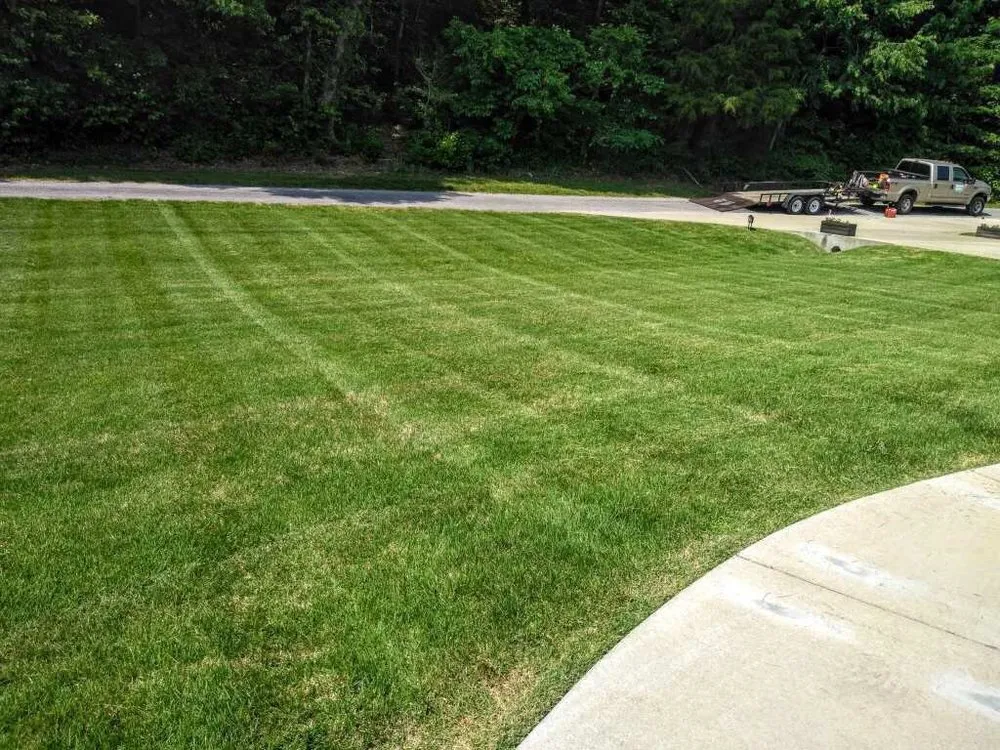 Expert yard cleanup service for residential properties in Dickson, TN by The Yard Chick