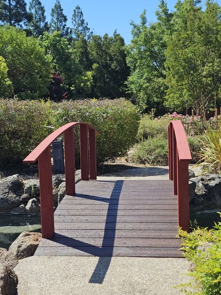 Expert outdoor landscaping experts serving Roseville, CA - The Yard Company