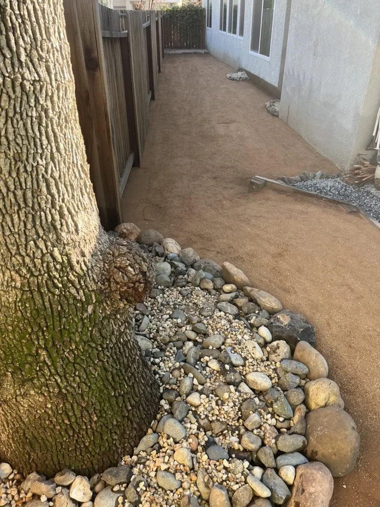 Affordable residential landscaping near you across Roseville, CA - The Yard Company