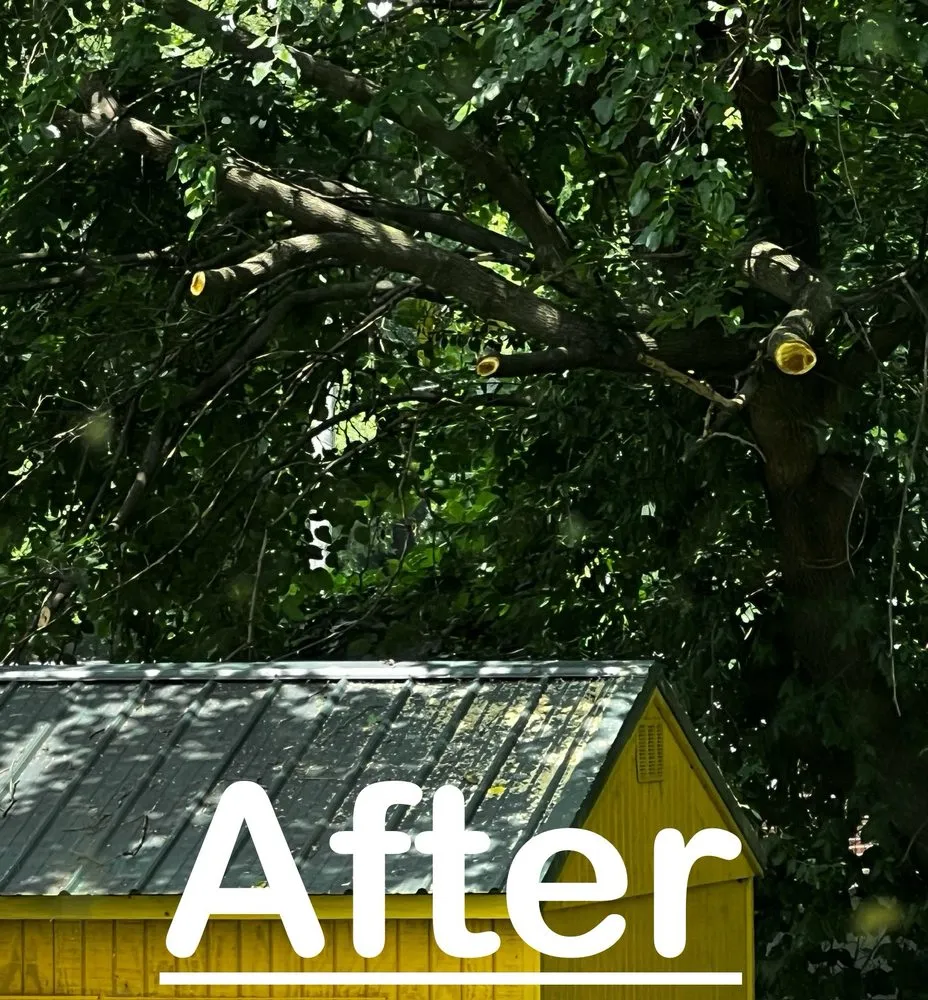 Local residential landscaping near you in Liberty, NC by The Yard Crew