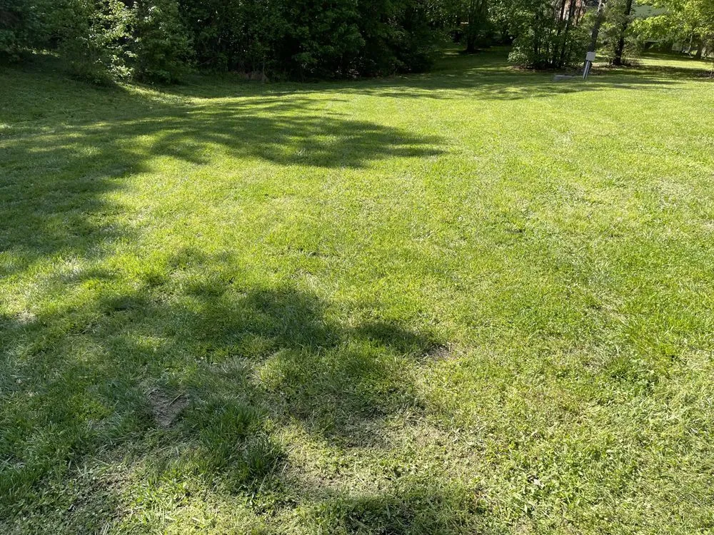 Reliable residential landscaping experts serving Liberty, NC - The Yard Crew