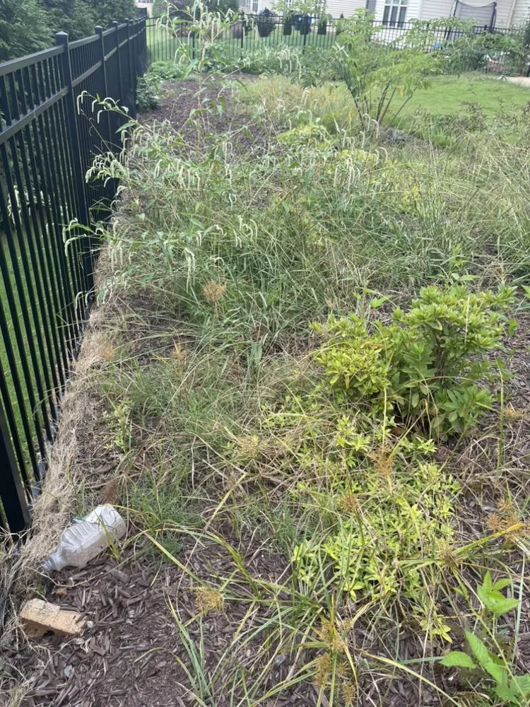 Reliable lawn mowing service for outdoor upgrades across Liberty, NC - The Yard Crew