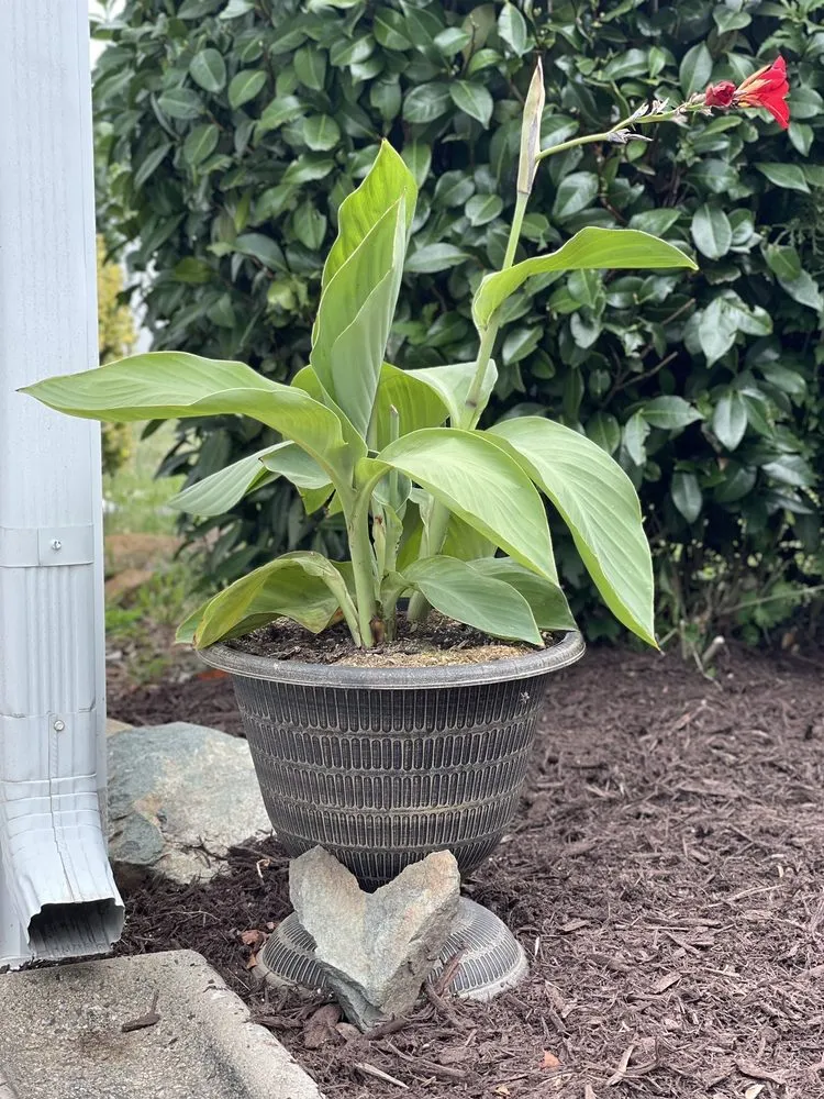 Trusted garden landscaping in Liberty, NC by The Yard Crew