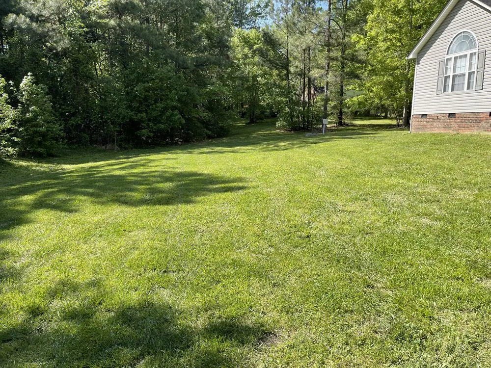 Top-rated yard cleanup service for year-round maintenance across Liberty, NC - The Yard Crew