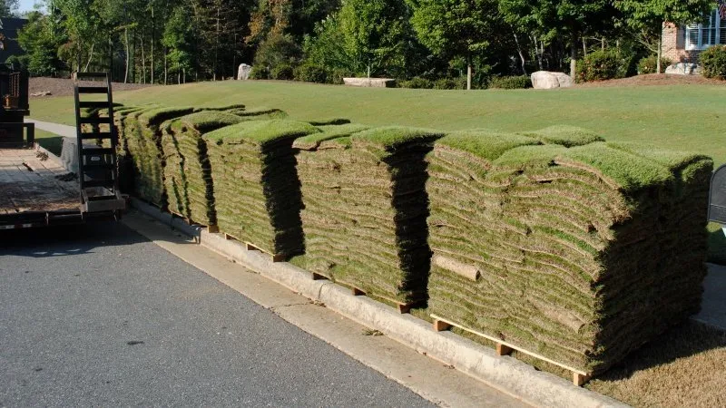 Trusted lawn mowing service for beautiful yards across Mims, FL - The Yard Doctor