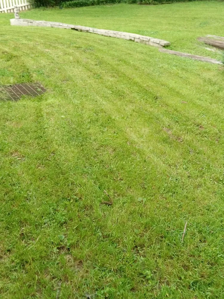 Reliable garden landscaping in Jackson, MS - The Yard Dr