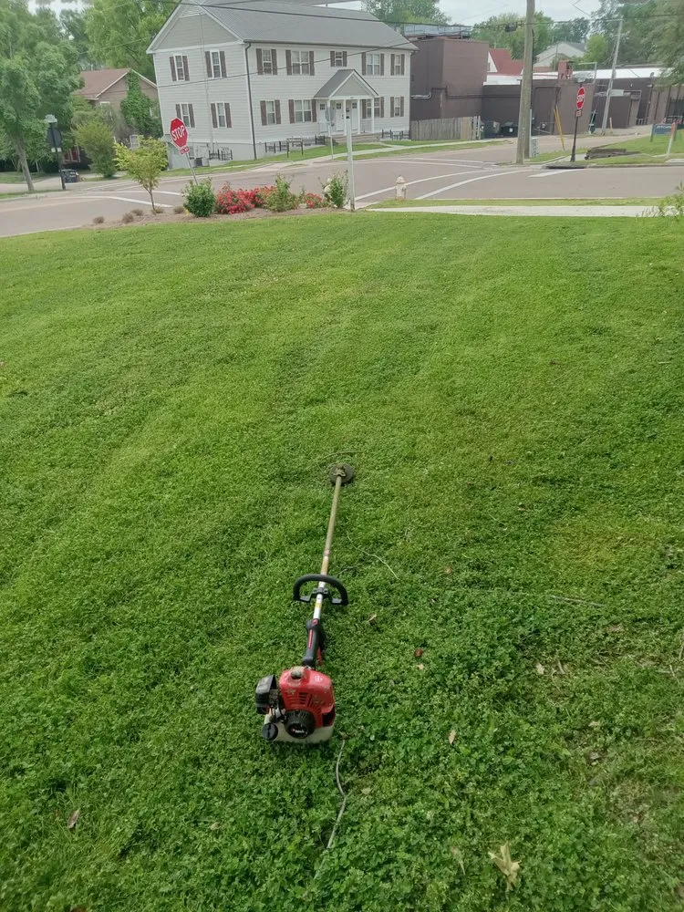 Expert landscape installation in Jackson, MS - The Yard Dr
