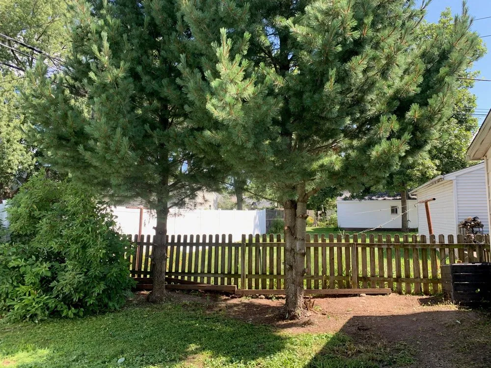 Professional residential landscaping for outdoor upgrades in Marion, IA by The Yard DR