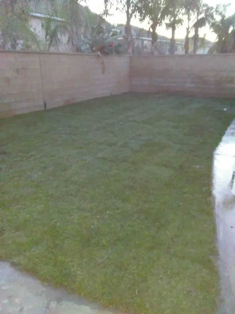 Custom garden landscaping in Riverside, CA - The Yard Dr.