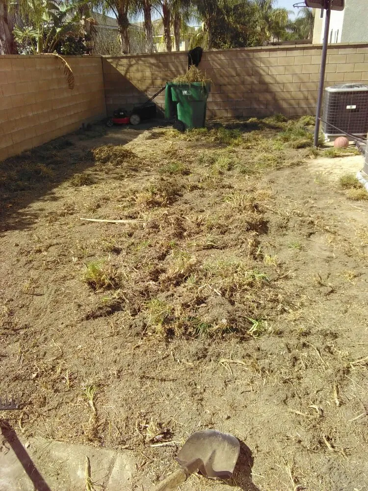 Trusted landscape installation in Riverside, CA - The Yard Dr.