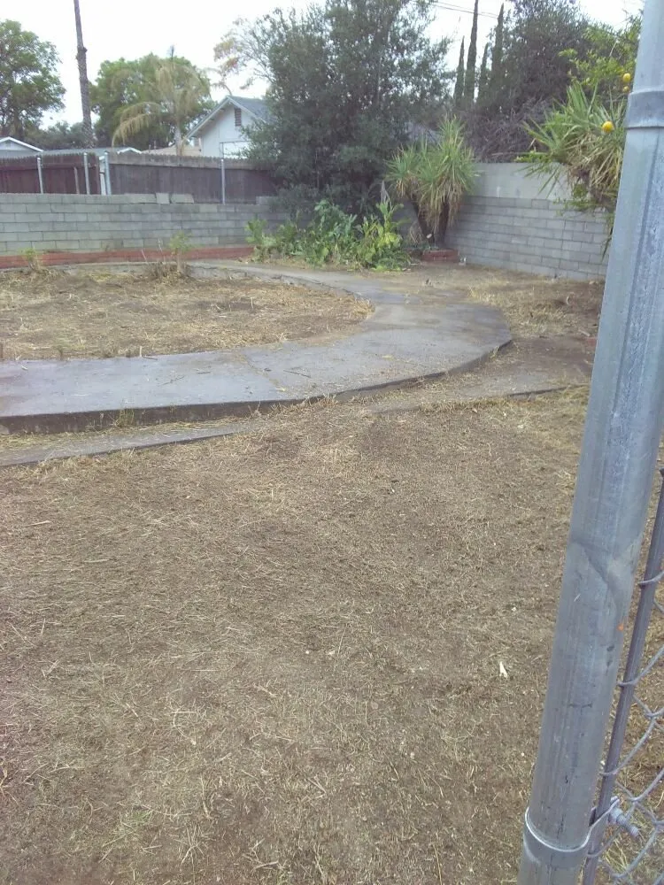 Custom lawn mowing service for beautiful yards in Riverside, CA by The Yard Dr.