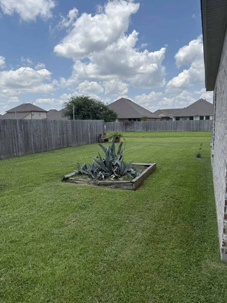 Custom landscape design in Youngsville, LA by The Yard Edit